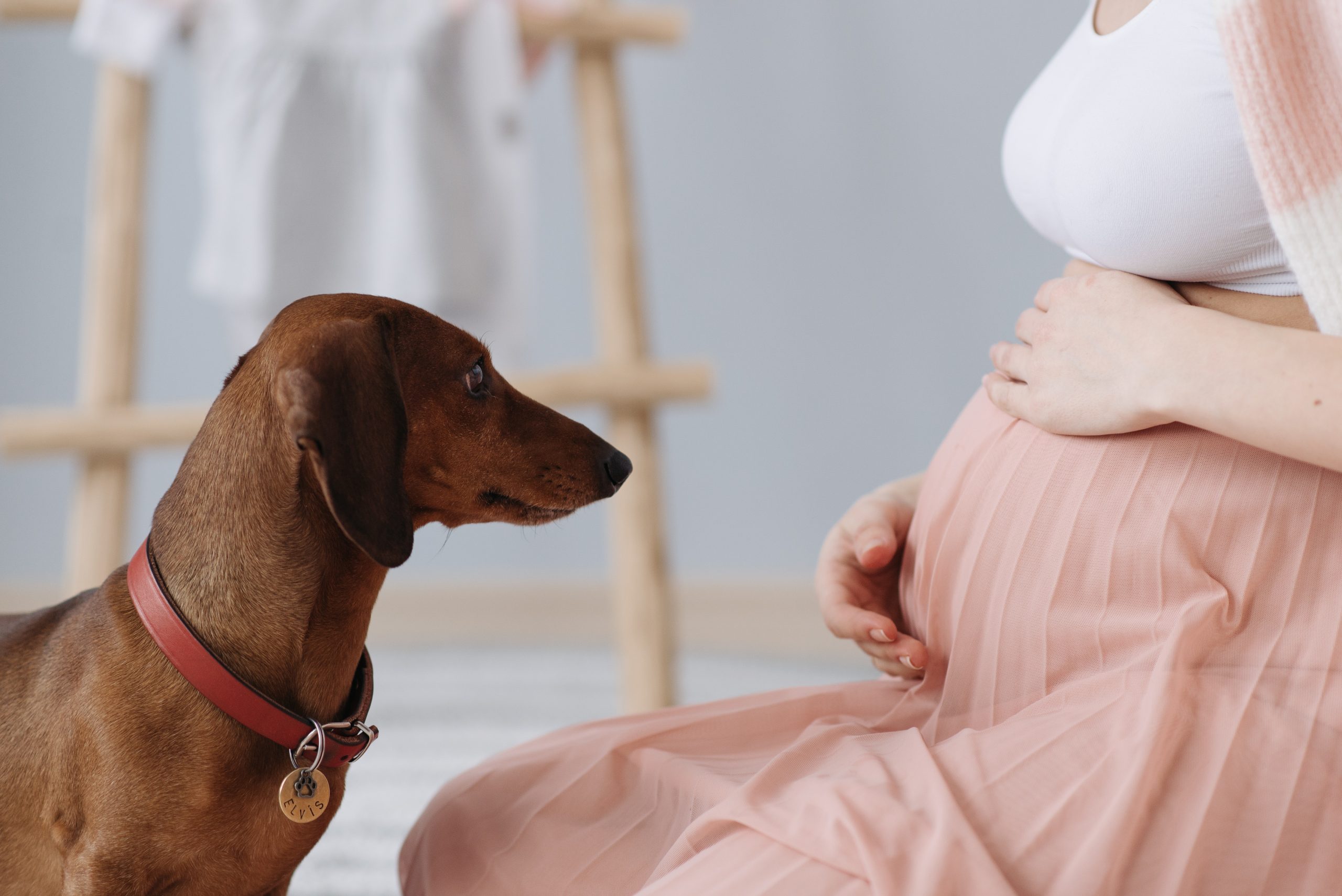 Il  tuo mal di pancia potrebbe salvare la tua gravidanza, scopri come